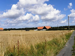 Bondeg�rdsferie og Ferie p� landet 

   Ferie p� Landet / Bondegardsferie 
 Vores hus ligger omkranset af marker, med 10 minutters gang til stranden,som er en af de smukkeste strande i Danmark - med det fineste hvide sand.Vi har indrettet en ferielejlighed i to etager p� g�rden, og ganske p�nt og hyggeligt m�bleret.Der er fred og ro, 2 katte, en lille hund og h�ns med friske �g og af og til g�r r�dyr, hare og fasaner gennem omr�det.