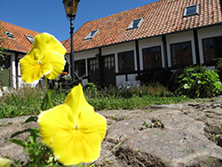 Ferie: Sommerhus / Feriehus / Feriehuse / Ferielejlighed : 
     Spar tid og penge og book direkte p� www.aktivbornholm.dk bus, f�rge og overnatningssted p� hele �en. Her har vi samlet alle de bedste tilbud p� hoteller, pensionater, ferielejligheder, vandrehjem. Nu kan du selv sammens�tte hele din ferie med oplevelser, gourmet, kunst eller ren afslapning. Du kan ogs� bare ringe eller skrive til os, s� sammens�tter vi et uforpligtende tilbud.