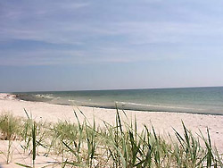 Sommerhus / Feriehus Bornholm  Oplev hyggelige ferie på Bornholm med fin sandstrand og dejlig skov.

5 sommerhuse i Aspesgårdsskoven
Her er alt, hvad der skal til
for at få en vellykket ferie på Bornholm !

Hyggeligt sommerhus
beliggende i sommerhusområdet Aspesgårdsskoven.

Indeholder
Stue kombineret med køkken.
Tv med Parabol
Soveværelse med dobbeltseng.
2 Soveværelse med 2 senge.

Badeværelser med wc, brus, gulvvarme,vaskemaskine.
Sommerhuset ligger på en stor naturgrund fra 2500 m2