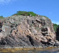 Hammerhafen bootsfahrt - Bornholm - Hammerhavn Bådfart