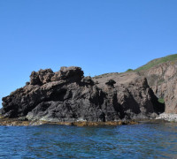Hammerhafen bootsfahrt - Bornholm - Hammerhavn Bådfart