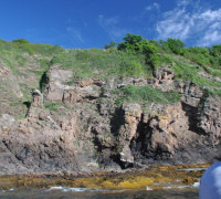 Hammerhafen bootsfahrt - Bornholm - Hammerhavn Bådfart