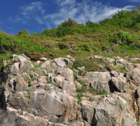 Hammerhafen bootsfahrt - Bornholm - Hammerhavn Bådfart