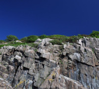 Hammerhafen bootsfahrt - Bornholm - Hammerhavn Bådfart