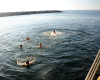 Vang_Beach_Party_DSC_0048.JPG