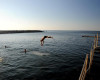 Vang_Beach_Party_DSC_0054.JPG